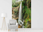 Fototapete Klarer Wasserfall