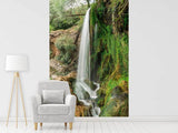 Fototapete Klarer Wasserfall