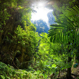 Fototapete Lichtung im Dschungel
