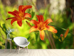 Fototapete Lilien in der Natur