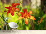 Fototapete Lilien in der Natur