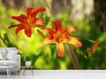 Fototapete Lilien in der Natur