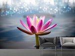 Fototapete Lotus im Morgentau