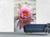 Fototapete Lotus