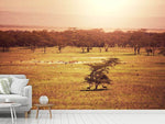 Fototapete Malerisches Afrika
