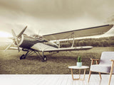 Fototapete Nostalgisches Flugzeug im Retrostyle