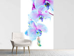 Fototapete Orchideen-Schmetterling