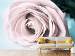 Fototapete Pastellrose