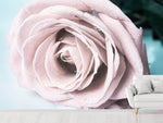 Fototapete Pastellrose