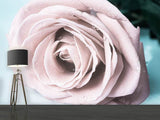 Fototapete Pastellrose