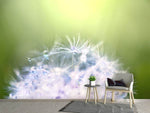 Fototapete Pusteblume XL im Morgentau