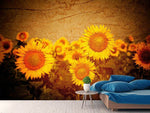 Fototapete Retro-Sonnenblumen