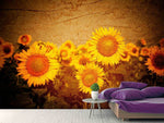 Fototapete Retro-Sonnenblumen
