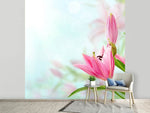 Fototapete Romantische Lilien
