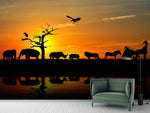 Fototapete Safarietiere bei Sonnenuntergang