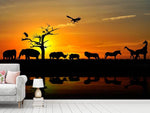 Fototapete Safarietiere bei Sonnenuntergang