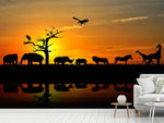 Fototapete Safarietiere bei Sonnenuntergang