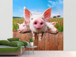 Fototapete Schweinchen im Glück