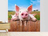 Fototapete Schweinchen im Glück