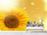 Fototapete Sonnenblume im Morgentau