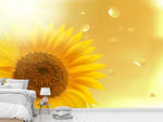 Fototapete Sonnenblume im Morgentau