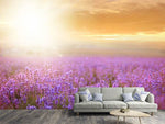 Fototapete Sonnenuntergang beim Lavendelfeld
