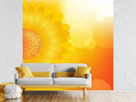 Fototapete Sunflower Power
