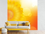 Fototapete Sunflower Power