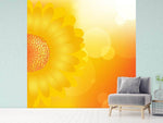 Fototapete Sunflower Power