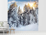 Fototapete Tannen im Schnee