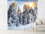 Fototapete Tannen im Schnee