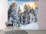 Fototapete Tannen im Schnee