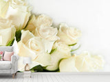 Fototapete Weisse Rosen