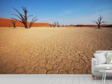 Fototapete Wüste