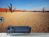Fototapete Wüste