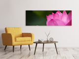 Leinwandbild Panorama Marko Lotus in pink