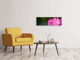 Leinwandbild Panorama Marko Lotus in pink