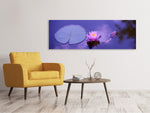 Leinwandbild Panorama Lotus Blüte