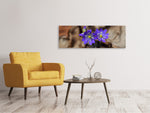 Leinwandbild Panorama Wildblumen