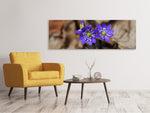 Leinwandbild Panorama Wildblumen
