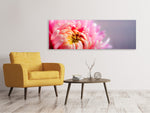 Leinwandbild Panorama Makro Chrysantheme