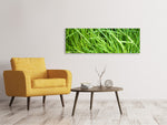 Leinwandbild Panorama Frischer Schnittlauch XL