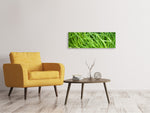 Leinwandbild Panorama Frischer Schnittlauch XL