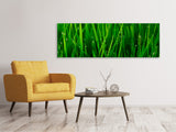 Leinwandbild Panorama Gras mit Morgentau