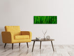 Leinwandbild Panorama Gras mit Morgentau
