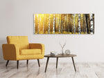 Leinwandbild Panorama Birkenwald