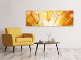 Leinwandbild Panorama Close Up Pusteblume im Licht
