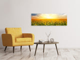Leinwandbild Panorama Ein Feld voller Sonnenblumen