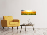 Leinwandbild Panorama Ein Feld voller Sonnenblumen