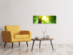 Leinwandbild Panorama Baum